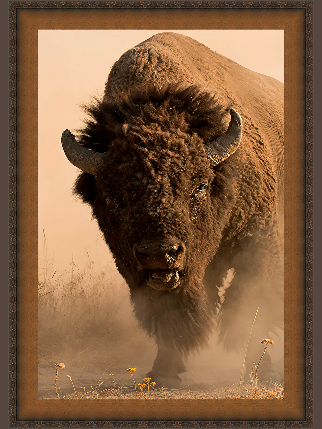 close view of western buffalo painting