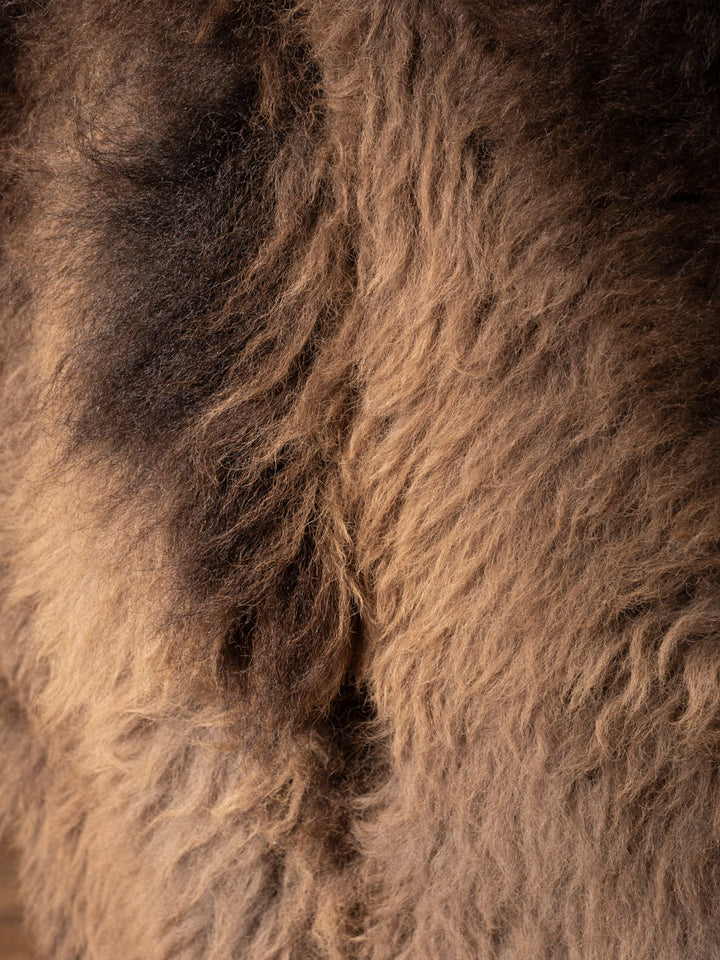 Close up of brown buffalo hair on hide 