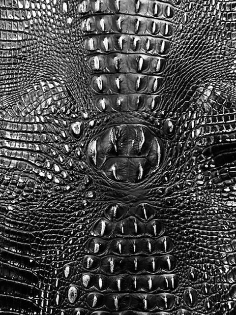 Crocodile BLACK & SILVER material sample