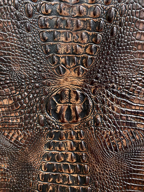 Crocodile BROWN material sample