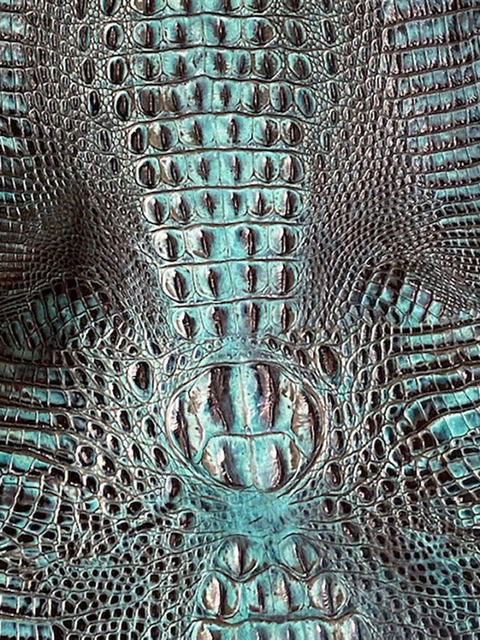 Crocodile INDIGO material sample