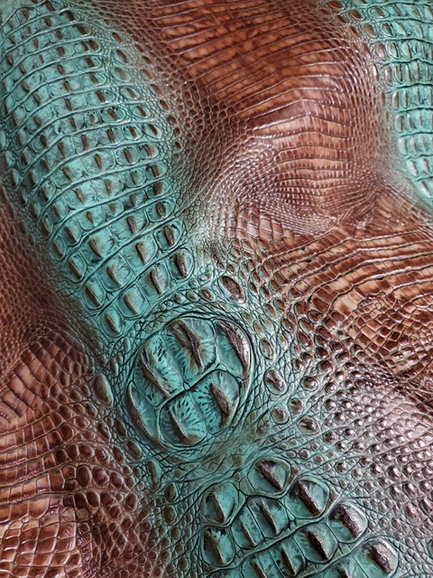 Crocodile SPINE TURQUOISE material sample