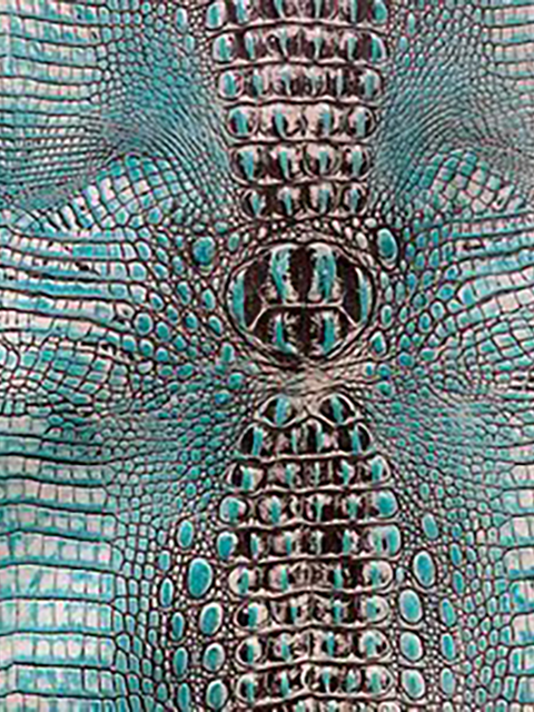Crocodile TOPAZ material sample