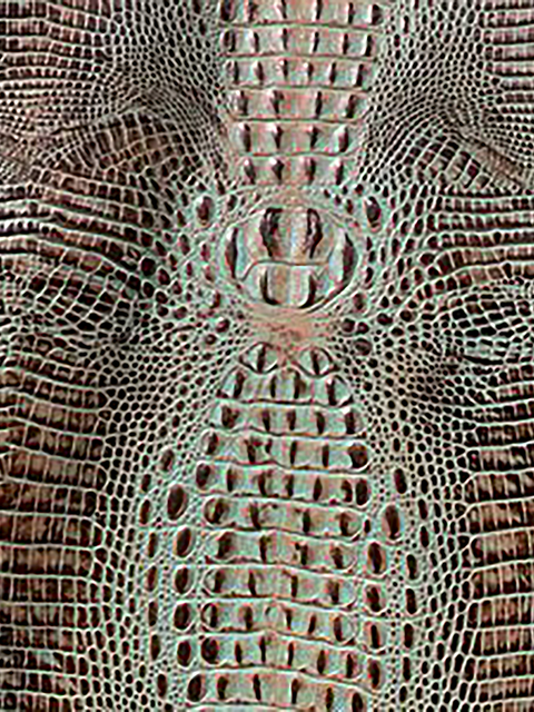 Crocodile TURQUOISE BROWN material sample