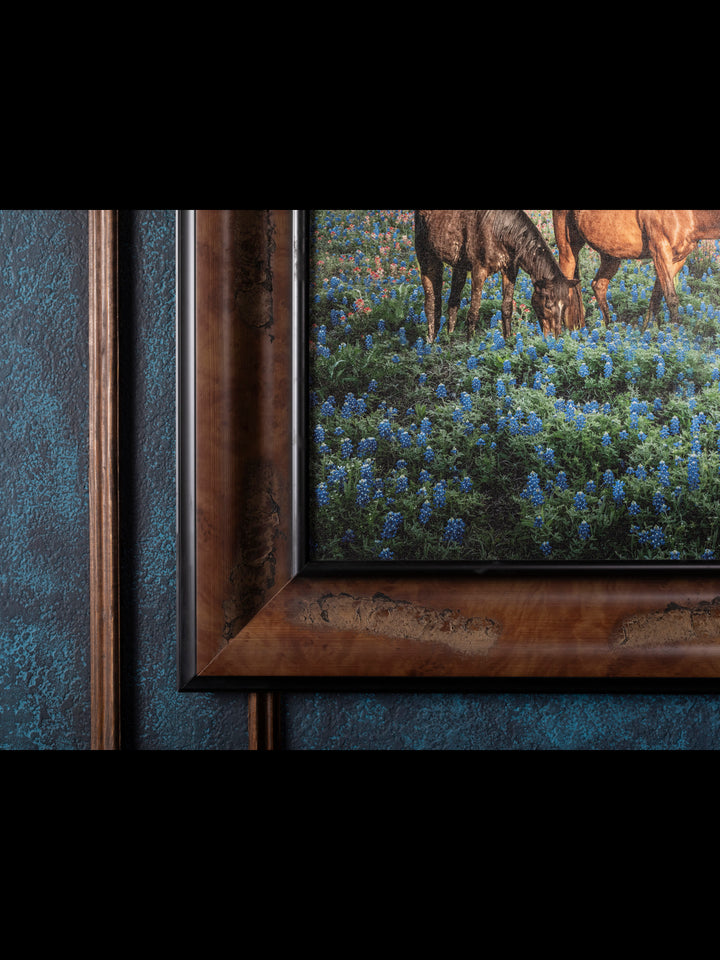 Morning Glory Horizon - Horses in Bluebonnet Field Western Art