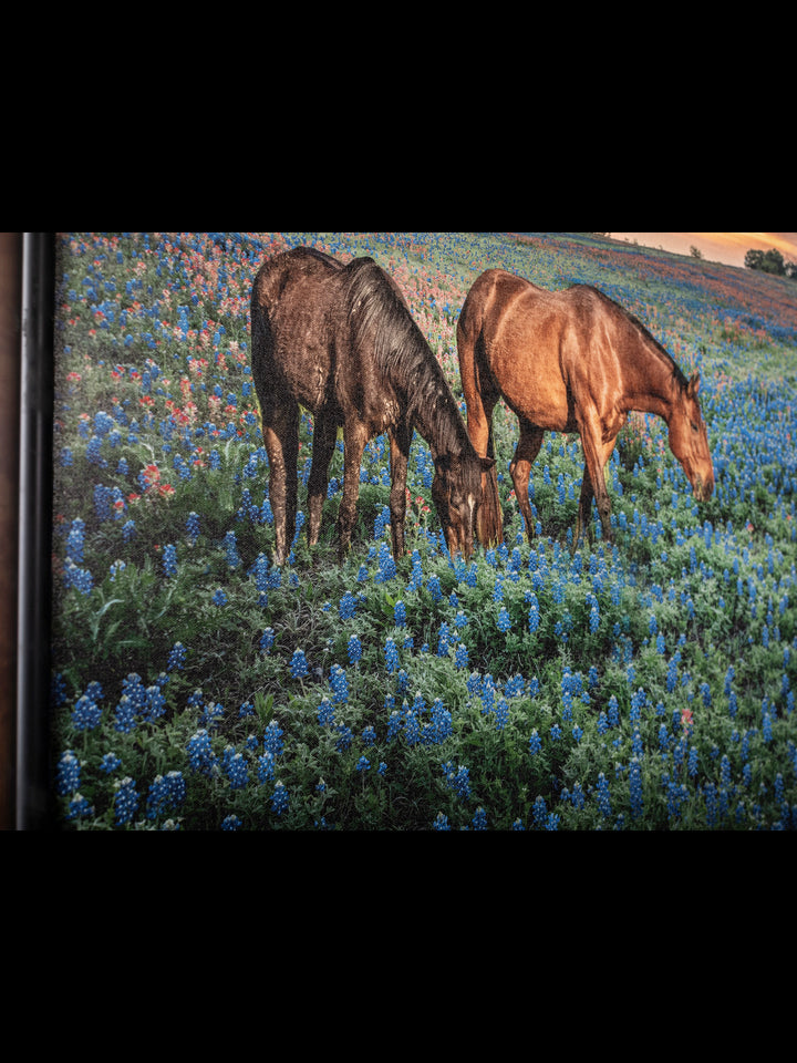Morning Glory Horizon - Horses in Bluebonnet Field Western Art