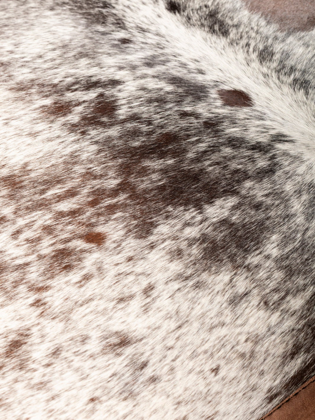 Close-up of genuine cowhide top on square cowhide ottoman showing natural cowprint pattern