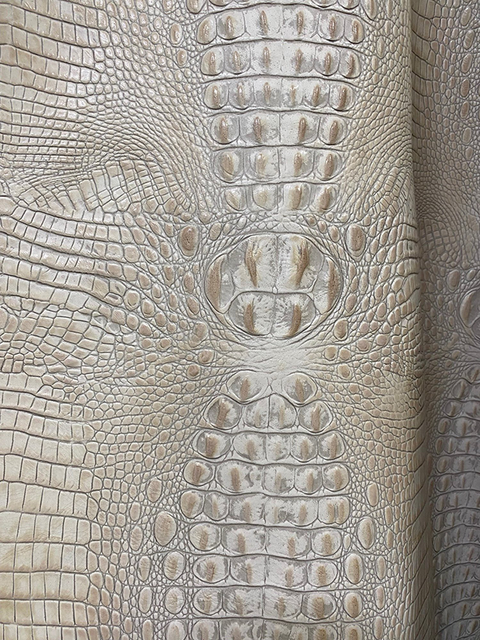 Crocodile IVORY material sample