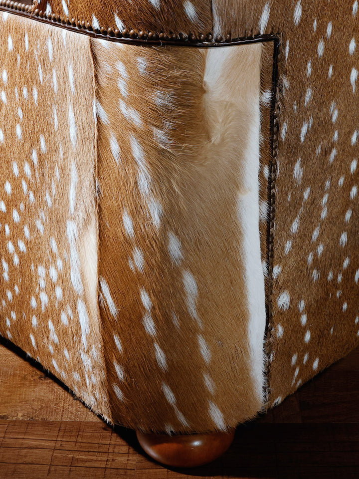 Close up shot of axis hide on the corner of the sofa