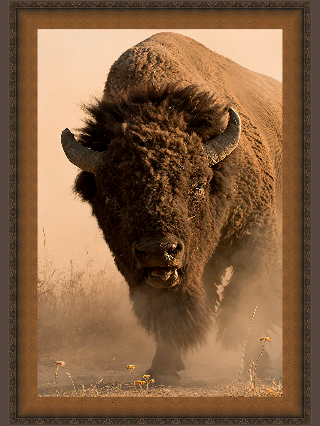 American Buffalo by Robert Dawson